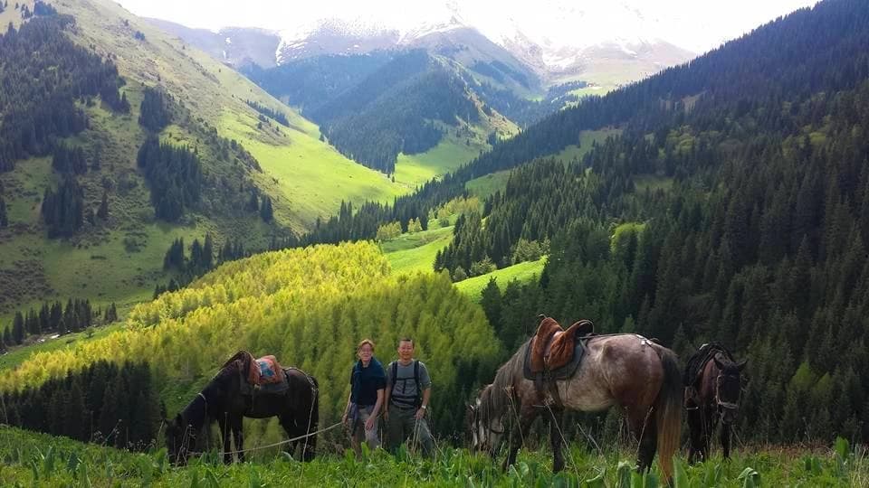 chon_kemin_horses